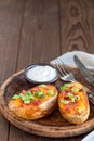 Baked loaded potato skins with cheddar cheese and bacon, garnish Royalty Free Stock Photo