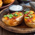 Baked loaded potato skins with cheddar cheese and bacon, garnish Royalty Free Stock Photo