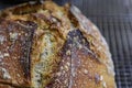 Baked loaf of artisanal whole wheat and dark rye rustic sourdough bread on a cooling rack, baked at home, photo series Royalty Free Stock Photo