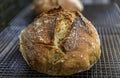 Baked loaf of artisanal whole wheat and dark rye rustic sourdough bread on a cooling rack, baked at home, photo series