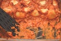 Baked Lumaconi Pasta With Ragu Sauce