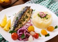 Baked mackerel with herbs Royalty Free Stock Photo