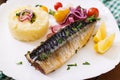 Baked mackerel with herbs Royalty Free Stock Photo