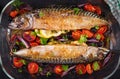 Baked mackerel with herbs and lemon and  vegetables. Royalty Free Stock Photo