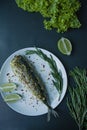 Baked mackerel served on a plate, decorated with spices, herbs and vegetables. Proper nutrition. View from above. Dark background Royalty Free Stock Photo