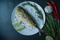 Baked mackerel served on a plate, decorated with spices, herbs and vegetables. Proper nutrition. View from above. Dark background Royalty Free Stock Photo