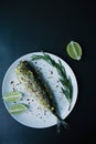 Baked mackerel served on a plate, decorated with spices, herbs and vegetables. Proper nutrition. View from above. Dark background Royalty Free Stock Photo