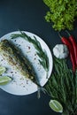 Baked mackerel served on a plate, decorated with spices, herbs and vegetables. Proper nutrition. View from above. Dark background Royalty Free Stock Photo