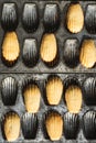 Baked madeleine cookies on vintage metal mold pan