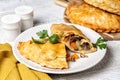 Baked meat turnovers or pies, or empanadas, or cornish pasty with filling, beef