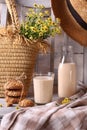 Baked milk with oatmeal cookies Royalty Free Stock Photo