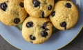 Baked muffins on plate - blueberry muffins close up - top view photo