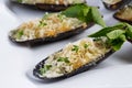 Baked mussels with the cheese Royalty Free Stock Photo