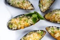 Baked mussels with the cheese Royalty Free Stock Photo