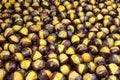 Baked open Chestnut background