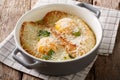 Baked Pawese soup with toast, eggs and parmesan in a saucepan. H