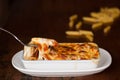 Baked penne pasta with tomato sauce and cheese Royalty Free Stock Photo