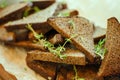 Baked pieces of rye bread with olive oil, garlic and rosemary Royalty Free Stock Photo