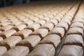 Baked pies group on the production line