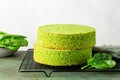Baked plain spinach and pistachio sponge cake on the cooking iron grid.
