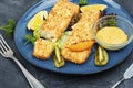 Baked pollock crusted fish fillets Royalty Free Stock Photo