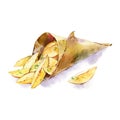 Baked Potato watercolor illustration isolated on white background. Homemade organic vegan snack. Potato chips in the