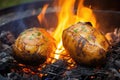 baked potatoes nestled in hot campfire coals