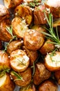 Baked potatoes with rosemary, thyme and garlic Royalty Free Stock Photo