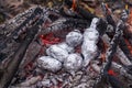 Baked potatoes wrapped with aluminum foil roasting in a bonfire.