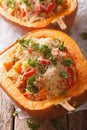 Baked pumpkin stuffed with couscous, meat and vegetables close-up