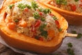 Baked pumpkin stuffed with couscous, meat and vegetables macro. Royalty Free Stock Photo