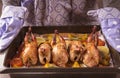 Baked quail carcasses with seasonings, rosemary and vegetables in a baking dish. Royalty Free Stock Photo