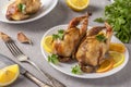 Baked quails with lemon and orange served on a white plate on a gray background Royalty Free Stock Photo