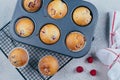 Baked Raspberry Muffins on a cooling rack on blue concrete table background. Breakfast concept Royalty Free Stock Photo