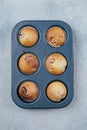 Baked Raspberry Muffins on a cooling rack on concrete table background. Top view. Breakfast concept Royalty Free Stock Photo