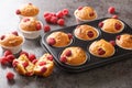 Baked raspberry muffins with white chocolate and fresh berries close-up in a muffin pan. Horizontal Royalty Free Stock Photo