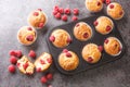 Baked raspberry muffins with white chocolate and fresh berries close-up in a muffin pan. Horizontal top view Royalty Free Stock Photo