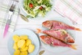 Baked red mullet served with boiled potatoes and green salad Royalty Free Stock Photo