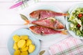 Baked red mullet served with boiled potatoes and green salad Royalty Free Stock Photo