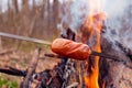 Baked red sausage on fire