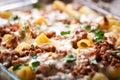 Baked rigatoni pasta with beef Royalty Free Stock Photo