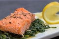 Baked salmo trutta on spinach.