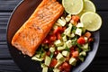 Baked salmon fillet with salad from avocado and tomato closeup o Royalty Free Stock Photo