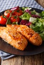 Baked salmon fillet with sesame seeds and fresh salad closeup. v Royalty Free Stock Photo