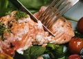 Baked salmon food photography recipe idea Royalty Free Stock Photo