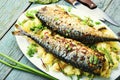 Baked scomber with potatoes,seafood Royalty Free Stock Photo