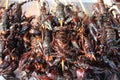Baked Scorpions for Sale