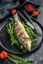 Baked sea Bass fish with arugula, grilled seabass. Black background. Top view