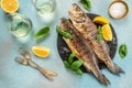 Baked sea Bass fish, grilled seabass with white wine. banner, menu, recipe place for text, top view Royalty Free Stock Photo