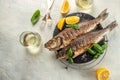 Baked sea Bass fish, grilled seabass with white wine. banner, menu, recipe place for text, top view Royalty Free Stock Photo